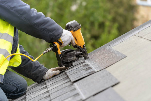 Best Asphalt Shingle Roofing  in Warrensburg, MO
