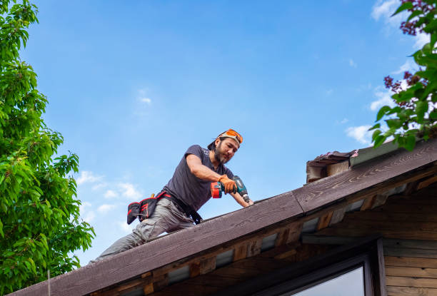Professional Roofing services in Warrensburg, MO